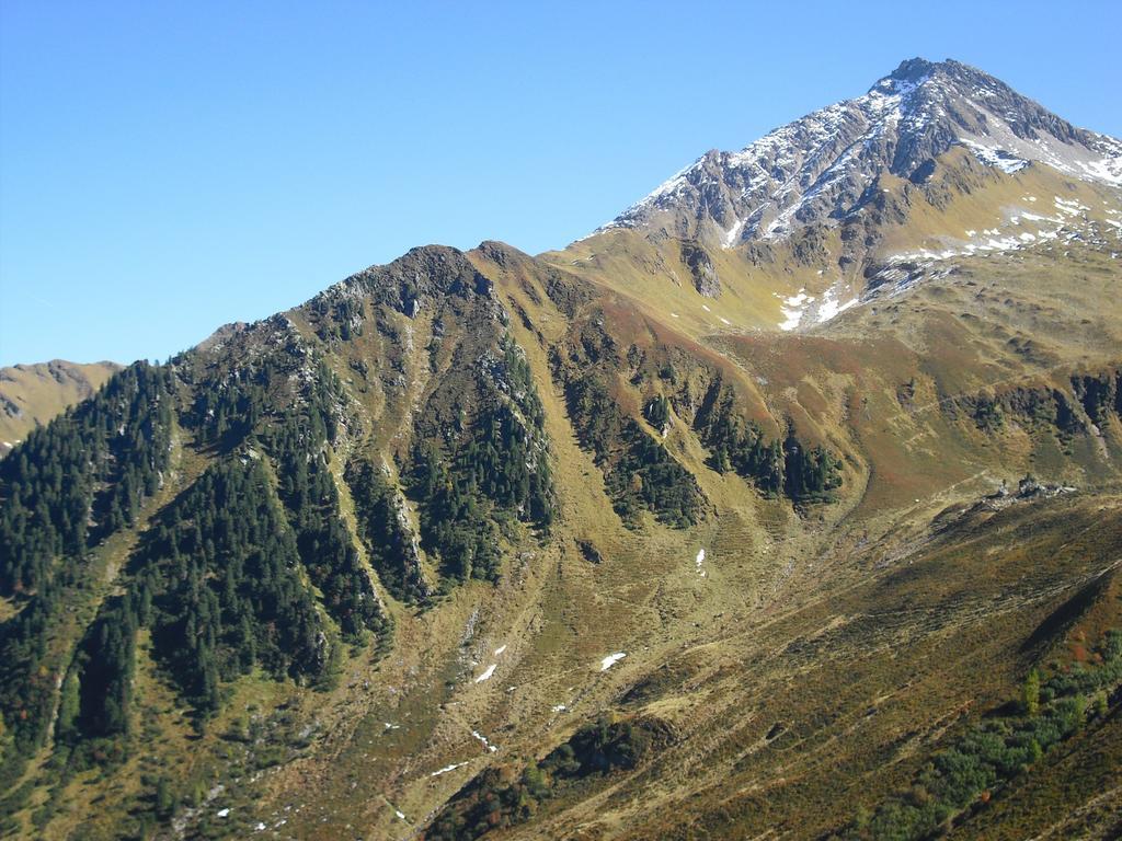 Appartement Summerer Peter Mayrhofen Rum bild